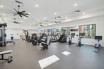 The gym